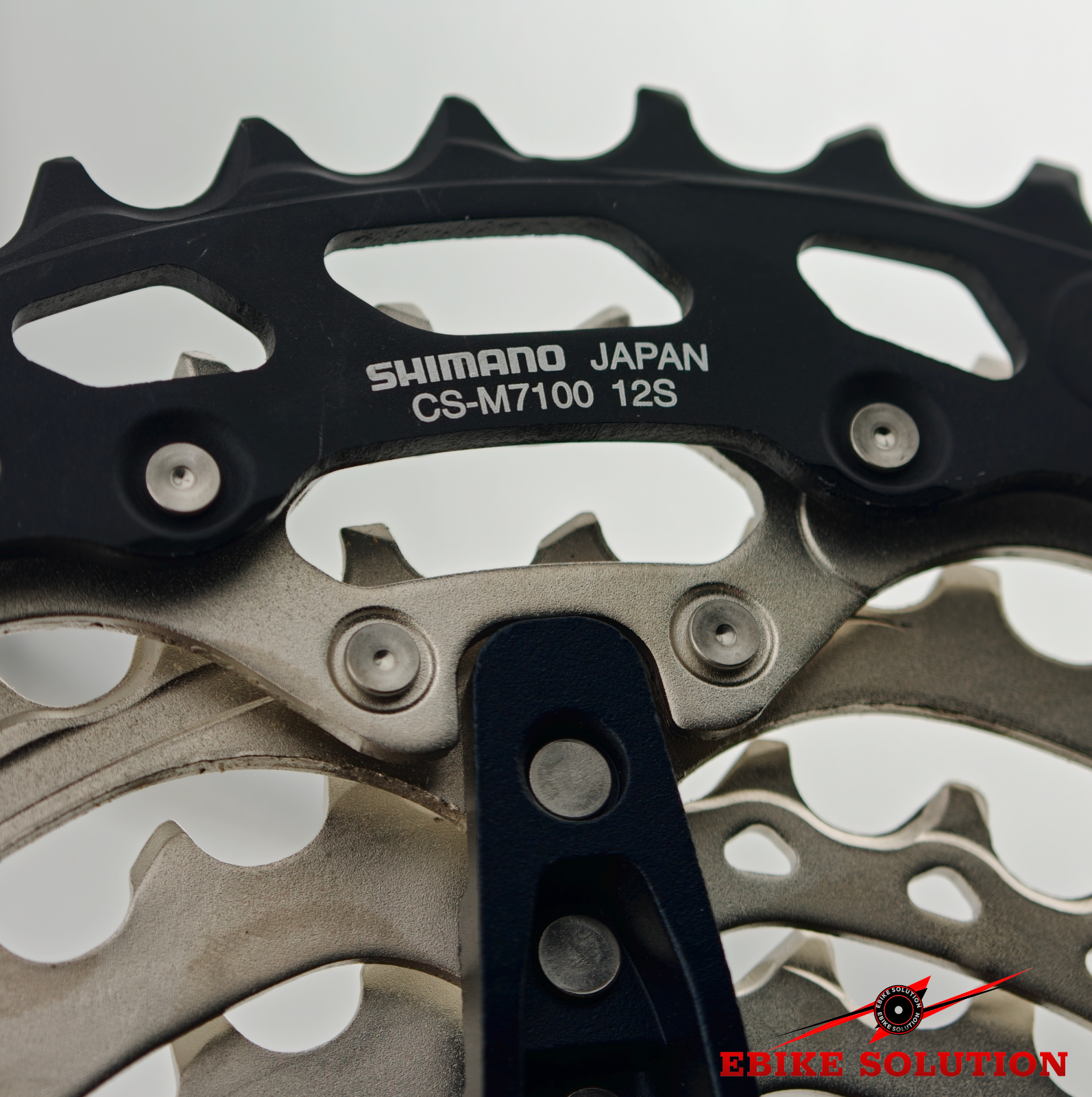 Evargo image 64728944c2b15819