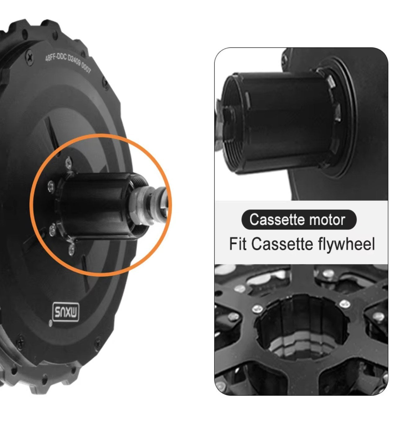 MXUS XF19R/XF19C Motor 48V 750W/1000W Rear Gear Hub Motor Wheel Ebike ebike solution
