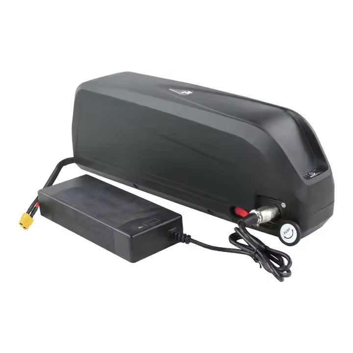 52V 20Ah 2000W Motor Hailong Li-ion Ebike Battery Electric Bike Battery LG Cells